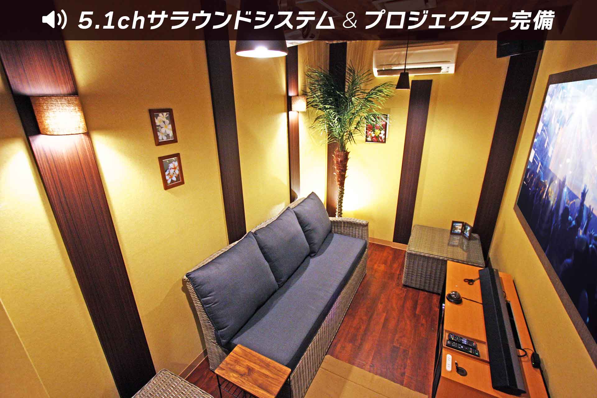 ホームシアタールーム（Blu-ray/ミラーリング設置）