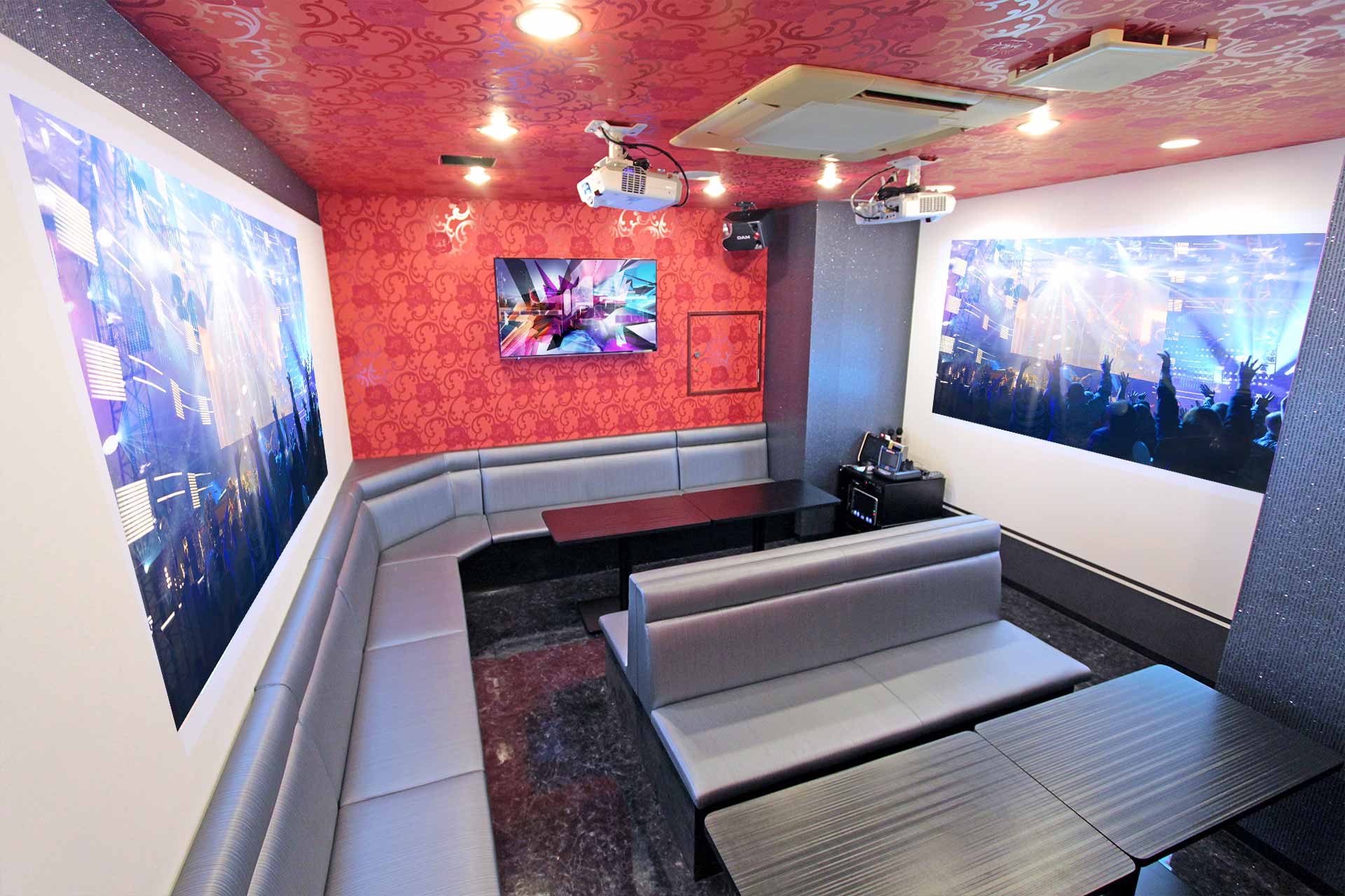 プロジェクタールーム（Blu-ray/ミラーリング設置）