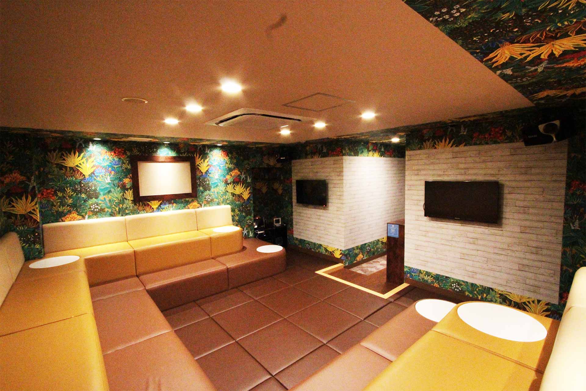 マットルーム（Blu-ray/DVD設置）