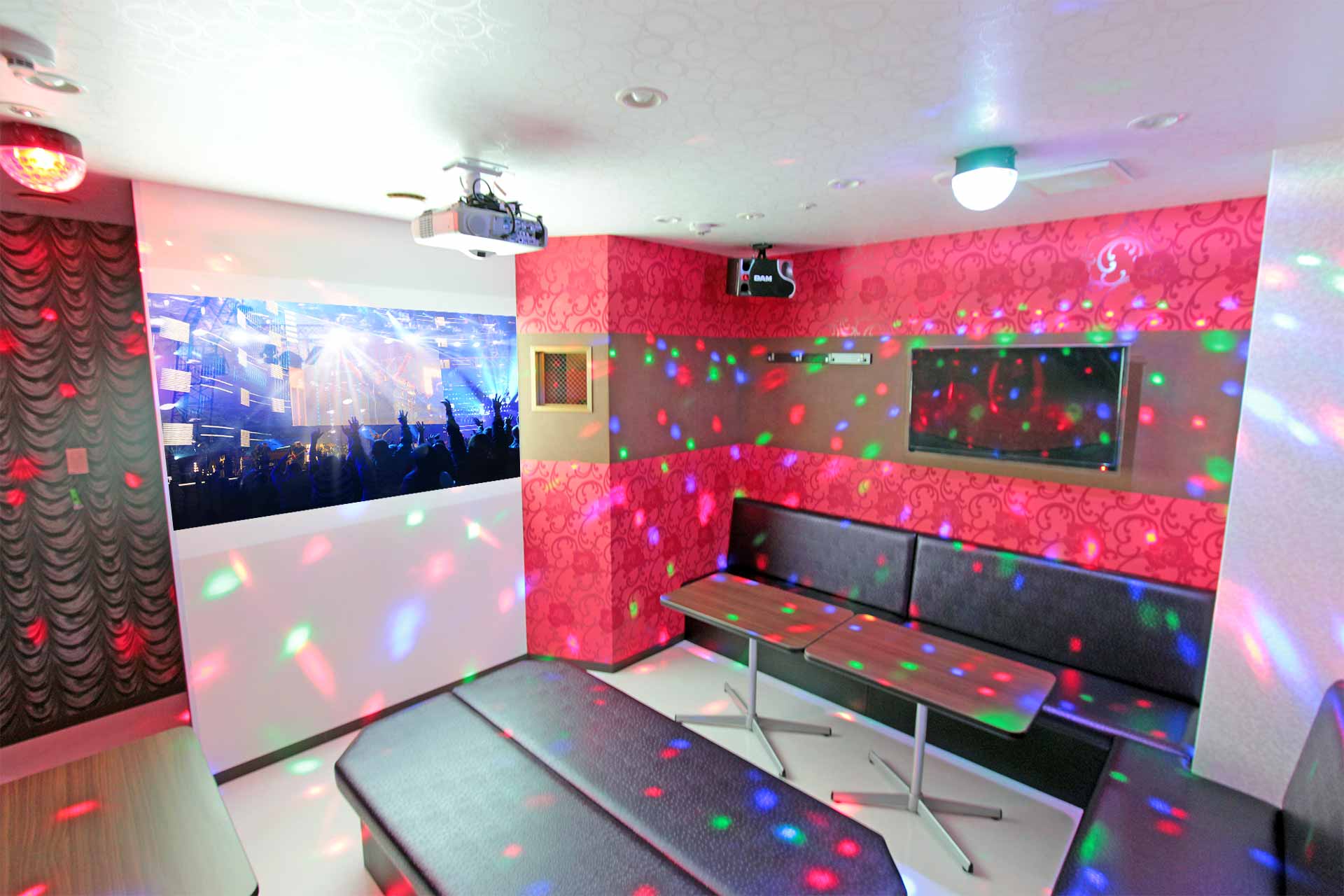 プロジェクタールーム（Blu-ray/ミラーリング設置）