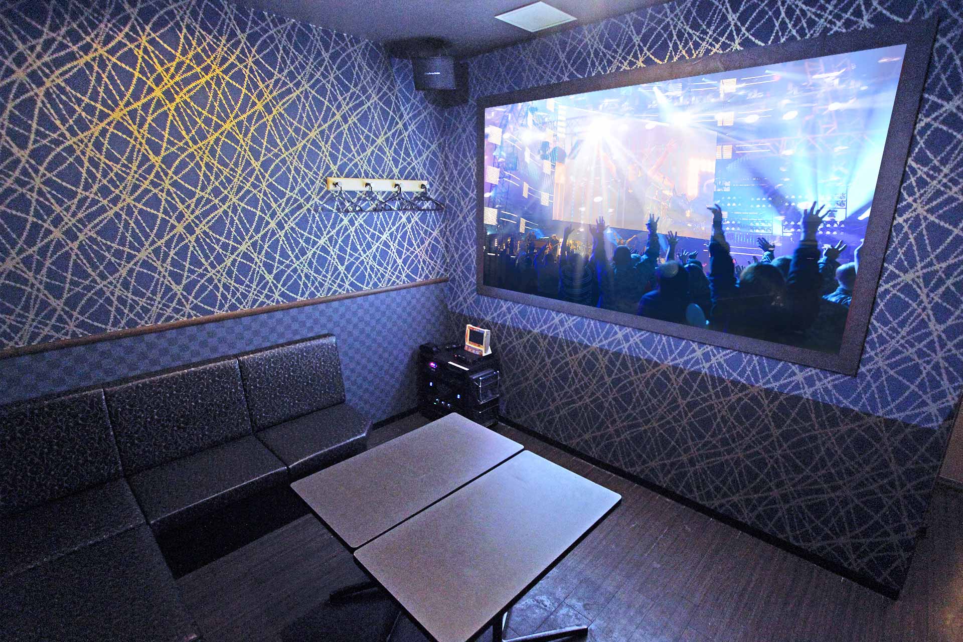 プロジェクタールーム（Blu-ray/ミラーリング設置）