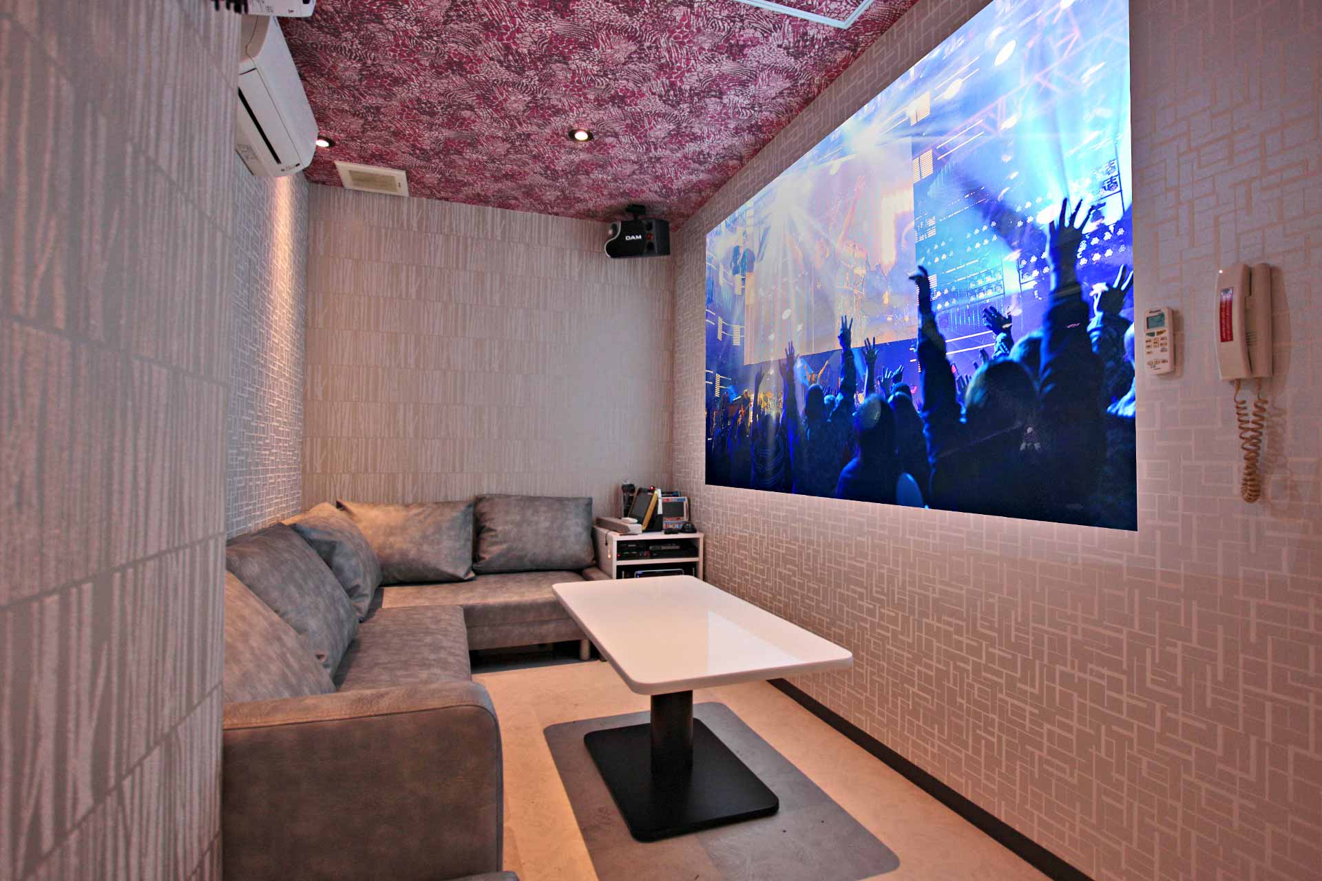 プロジェクタールーム（Blu-ray/ミラーリング設置）