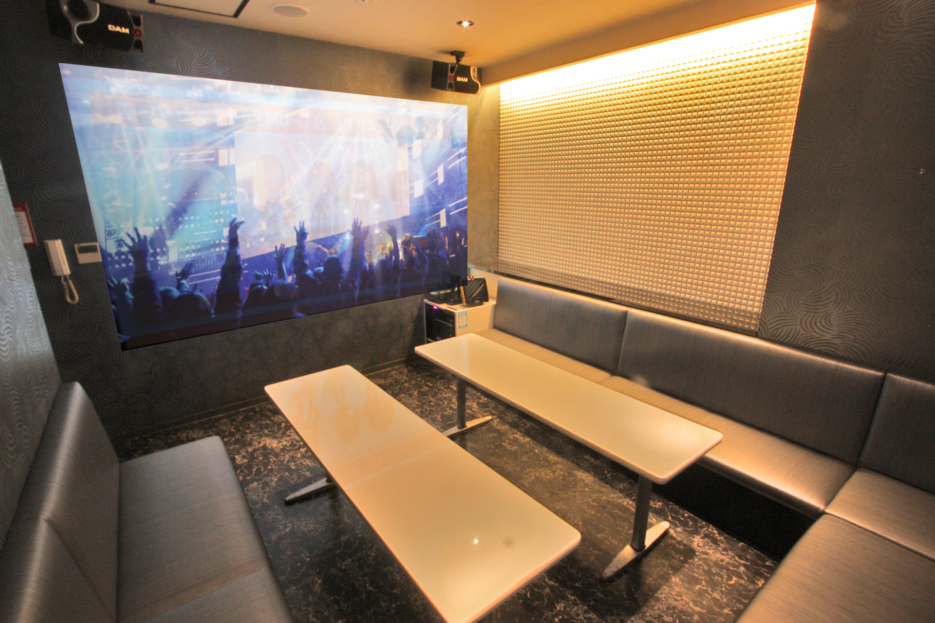 プロジェクタールーム（Blu-ray/ミラーリング設置）