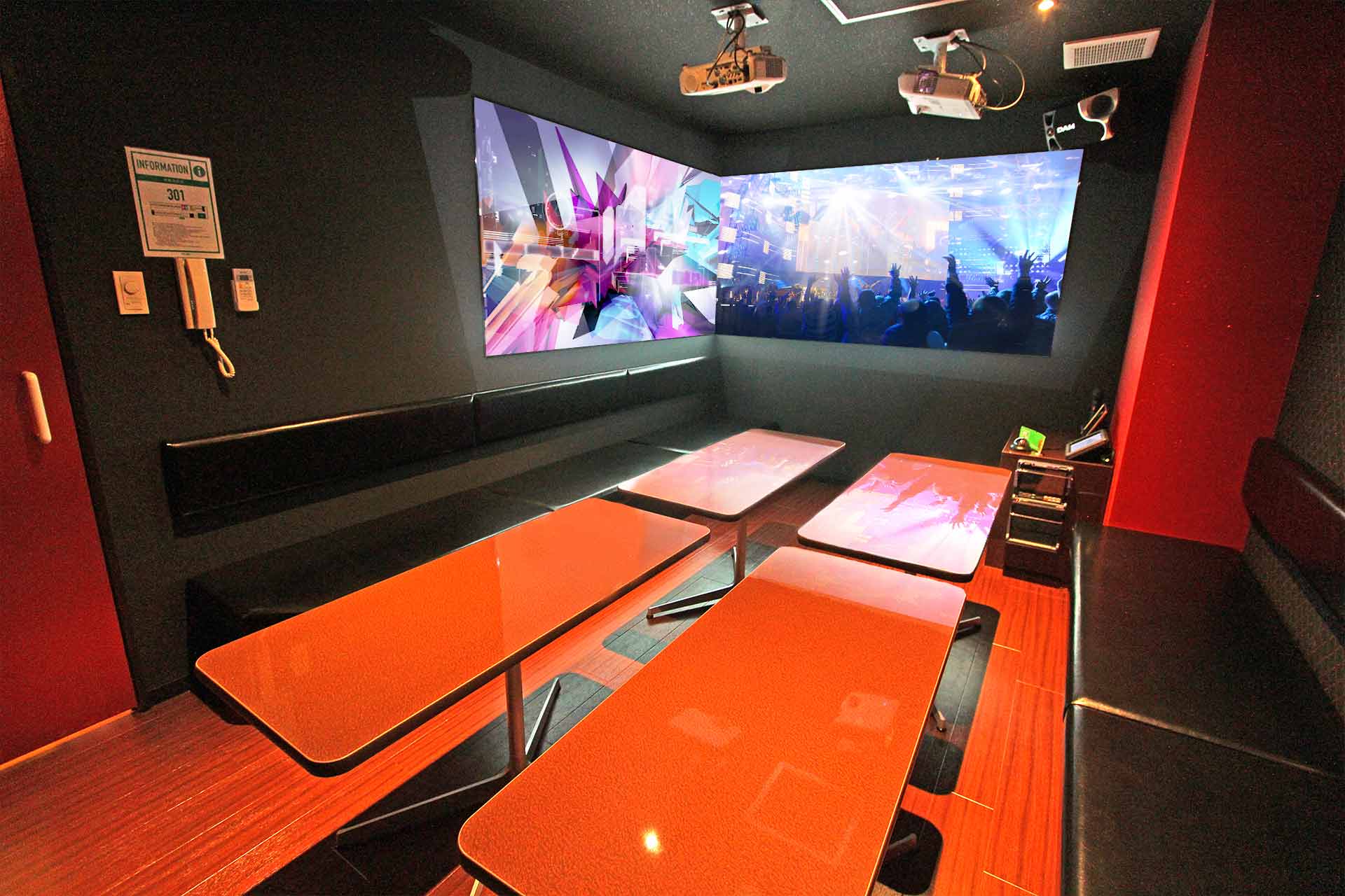 バンギャル&デュアルプロジェクタールーム（ミラーリング設置）