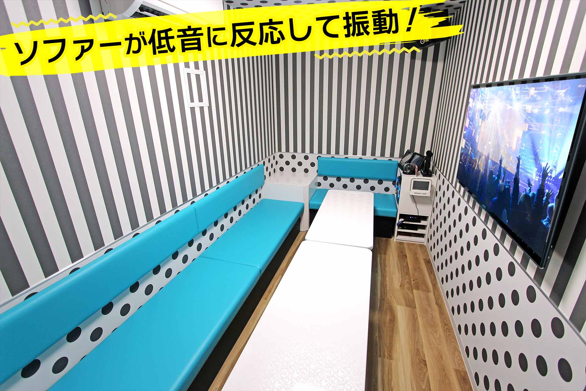 重低音振動ルーム（Blu-ray/DVD設置）