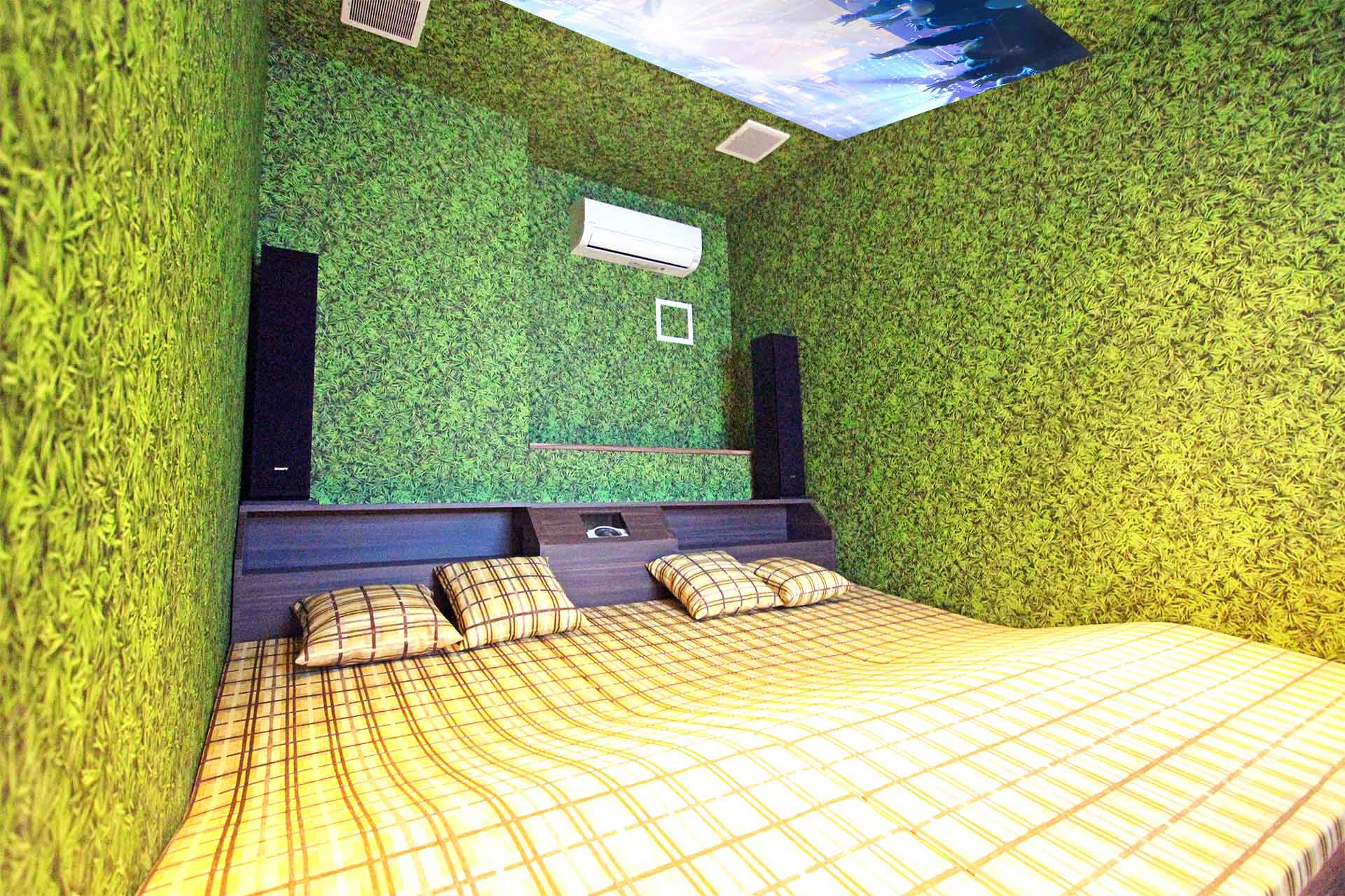 寝ころびシアタールーム（Blu-ray/DVD設置）