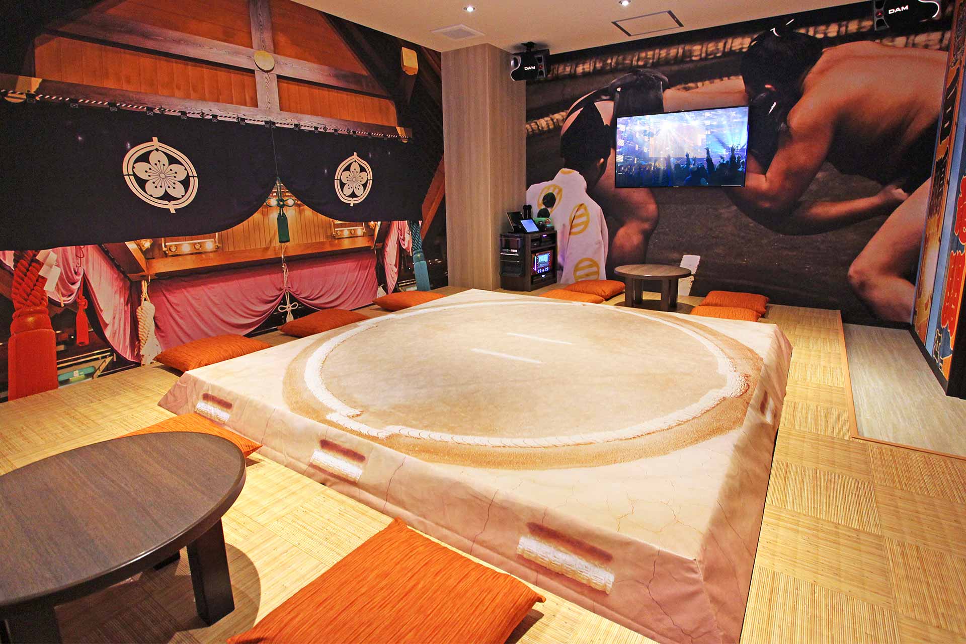 どすこいルーム（Blu-ray/DVD設置）