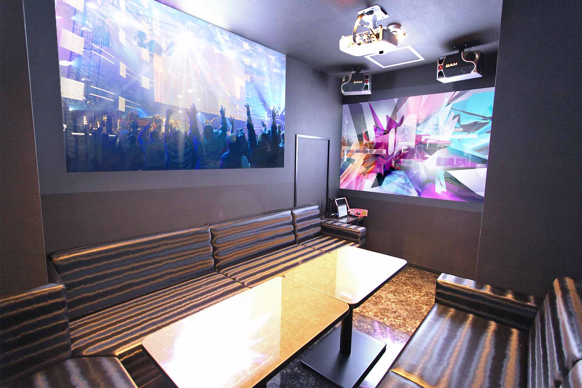 プロジェクタールーム（Blu-ray/ミラーリング設置）