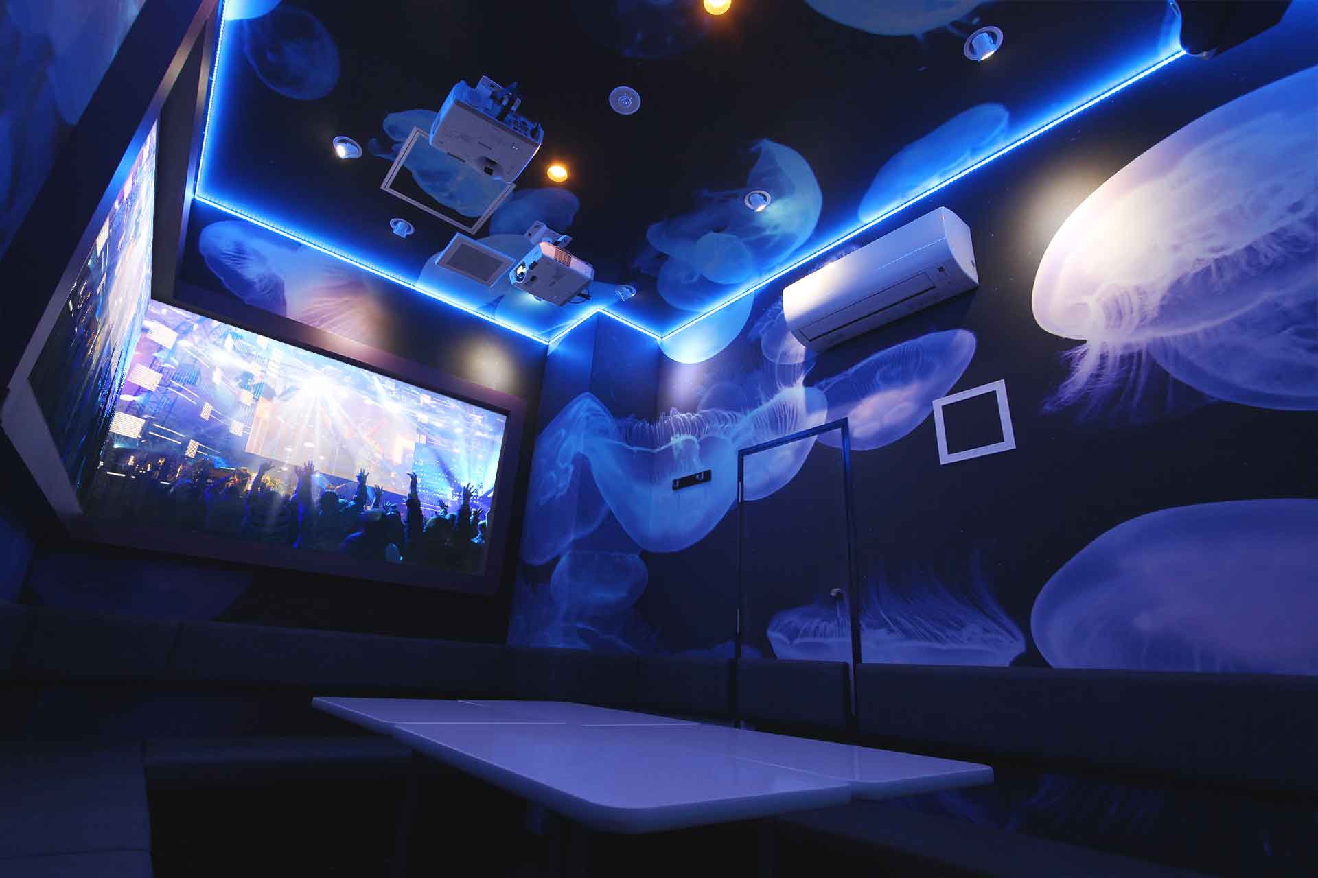 デュアルプロジェクタールーム（Blu-ray/ミラーリング）