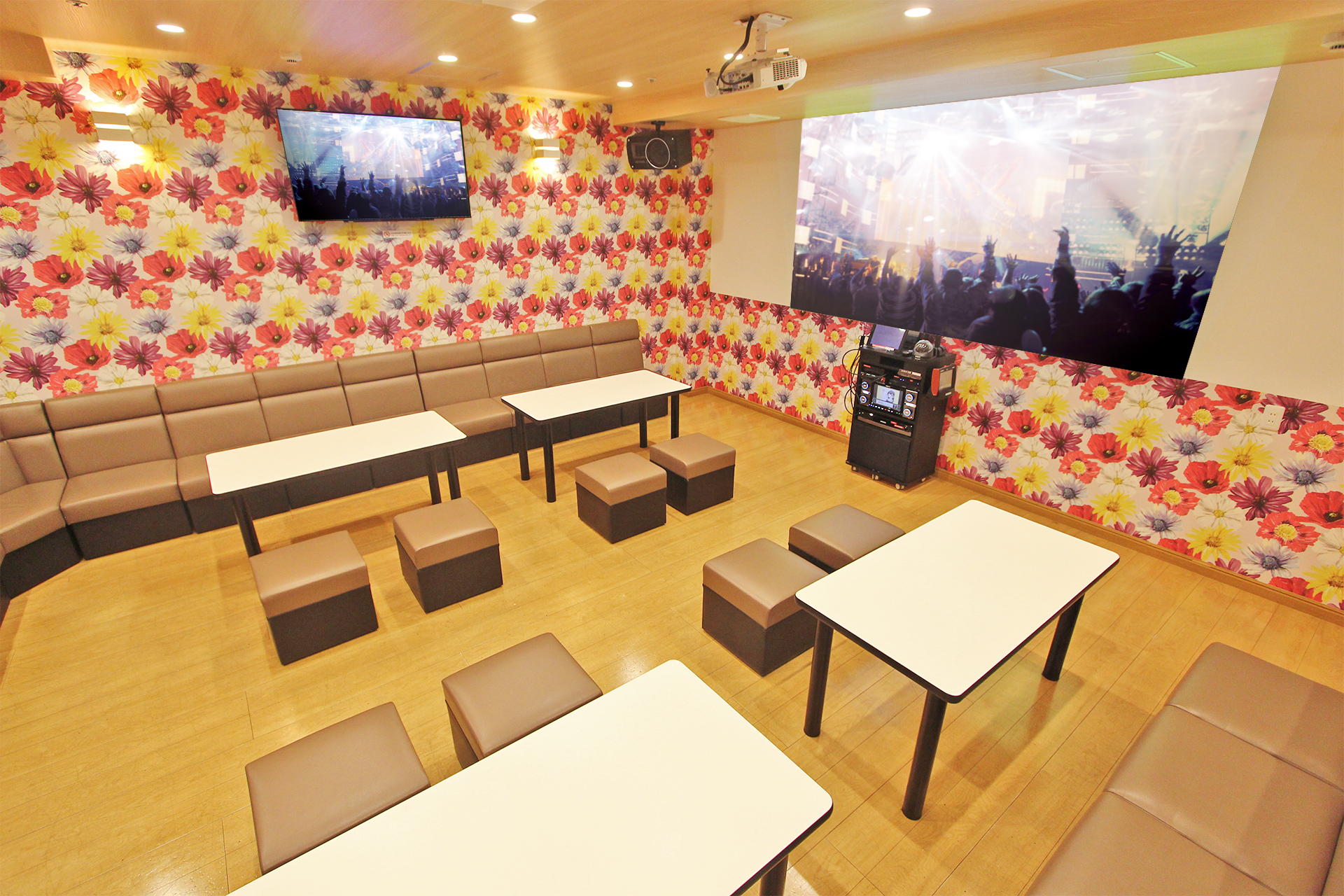 プロジェクタールーム（Blu-ray/ミラーリング設置）