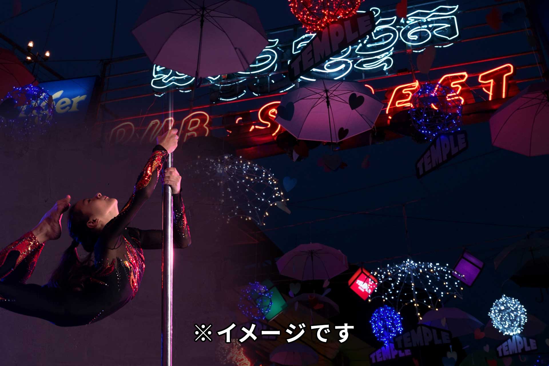 アジアンパブルーム（Blu-ray/DVD設置）