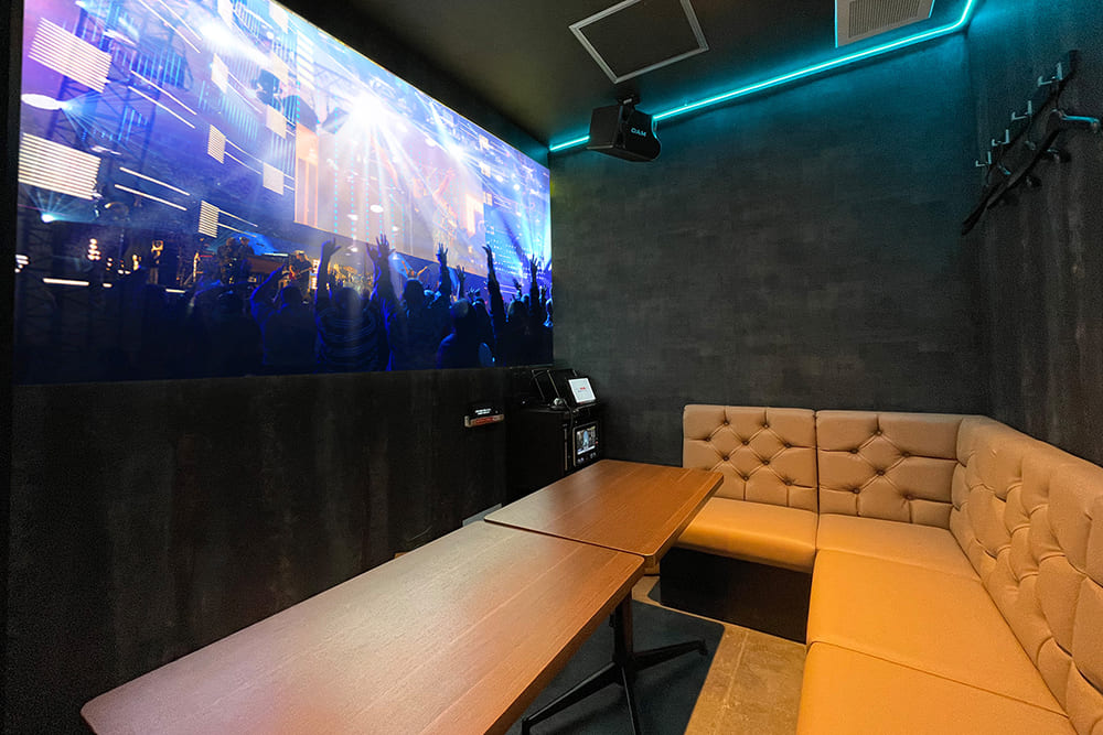 プロジェクタールーム（Blu-ray/ミラーリング設置）