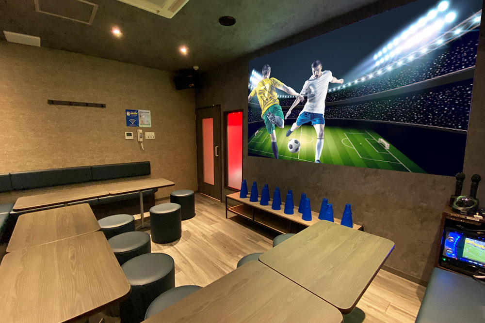 スポーツ観戦ルーム（ブルーレイ/DVD/テレビ/DAZN）