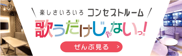 歌うだけじゃない！楽しさいろいろ コンセプトルーム